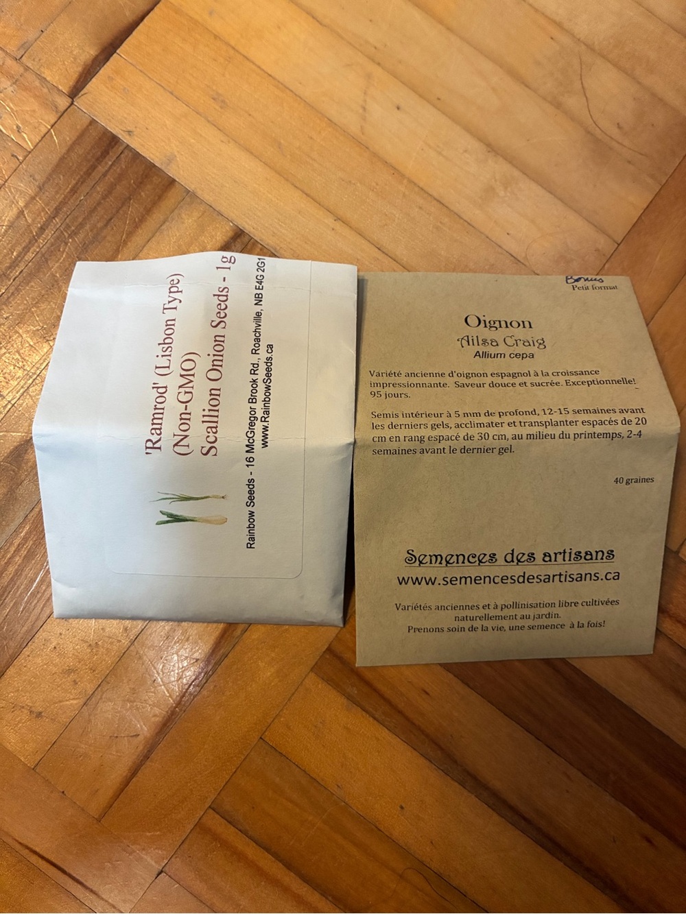 Ramrod (Lisbon Type) Scallion Onion Seeds - White